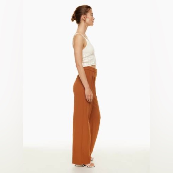 Aritzia Wilfred Effortless Crepe Pleated Pants - Anise Brown - Size 6 Short - Picture 4 of 14